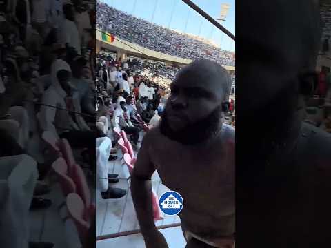 regardez bûcher après  d'avoir batu ama dia #viralshort #buzzsenegal #senegal #luttesénégalaise