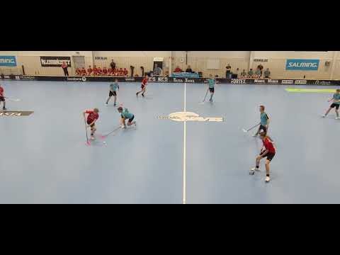 220102 Period 3. JAS Träningsmatch Lindås Rasta IBF- Mölndal IBF Samling Arena