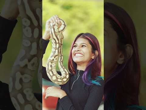 Adutha vava suresh thangu aano?😹🐍 | wait for the final result😲 | Snake🐍 | thejathangu😉