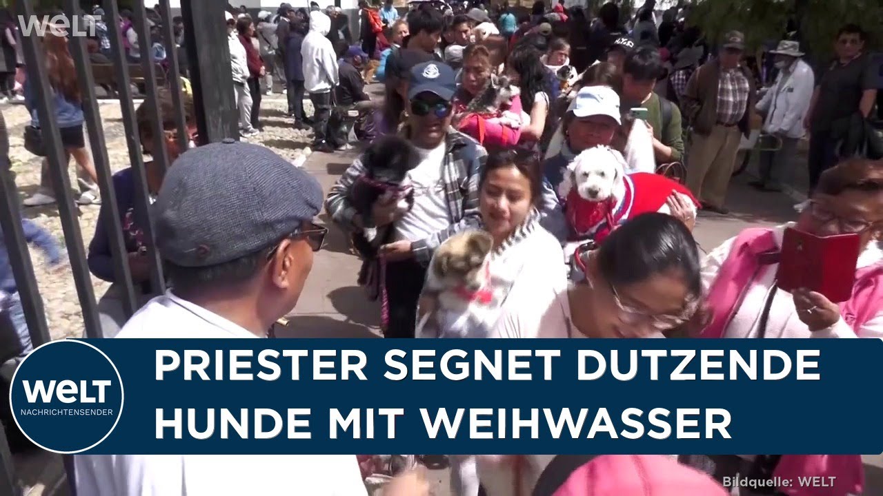 TIERLIEBE IN BOLIVIEN: Skurriler Brauch! Katholiken lassen ihre Hunde am Rochus-Tag segnen