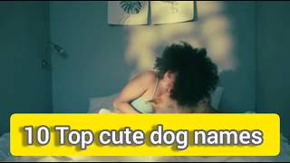 Top 10 Best male cute dogs name 2020, unique viral dogs name, world top 10 