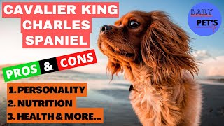 Things You Wish You Should Knew Before | Getting A Cavalier King Charles Spaniel | Daily Pets