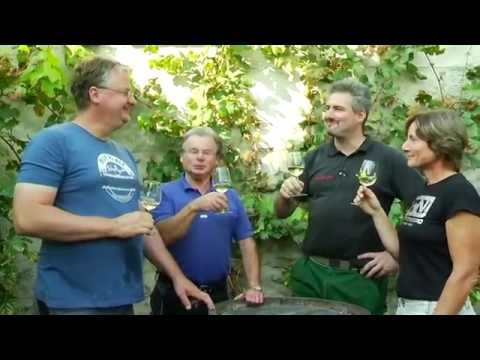 Weinlese in Hainsacker