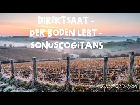 Direktsaat - Der Boden lebt