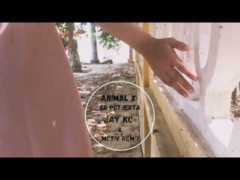 Animal X - Sa Pot Ierta (Jay Ko & Motiv Remix)