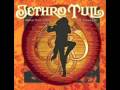 Jethro Tull - Living In These Hard Times
