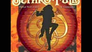 Jethro Tull - Living In These Hard Times