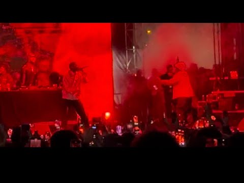 Words2LiveBy Live - Earl Sweatshirt & El Cousteau @ Camp Flog Gnaw Dodgers Stadium La, Ca 11/17/2024