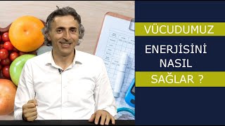 Vücudumuzun Enerji Kaynağı Nedir ?