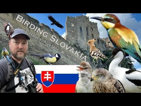 Birding Slovakia and Central Europe