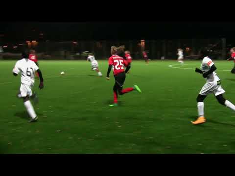 Viggan Invitational Cup  2017: EPS T04 - FC Rosengård F04