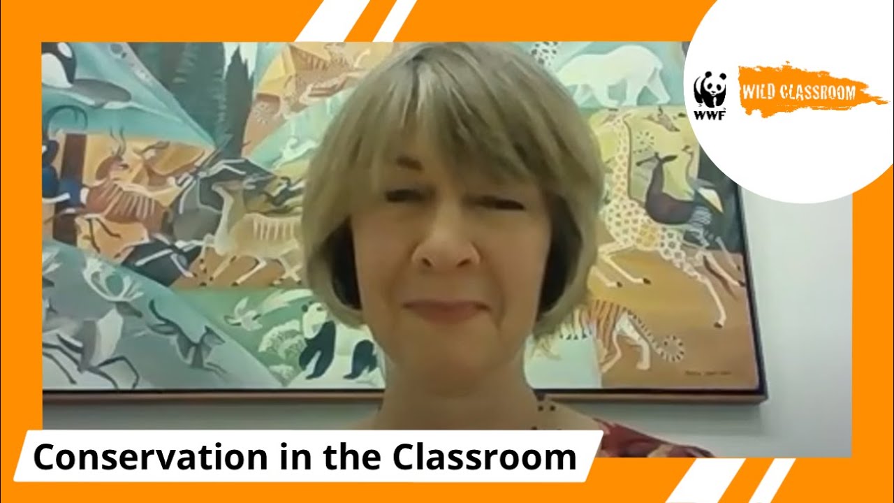 Climate Change, Disasters, and the Environment: How Conservation Can Help Reduce the Risk