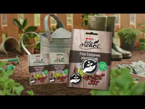 Spar image kot nekoc