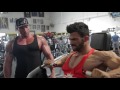 Sergi Constance Chest day workout at golds gym Venice with Justin Lovato