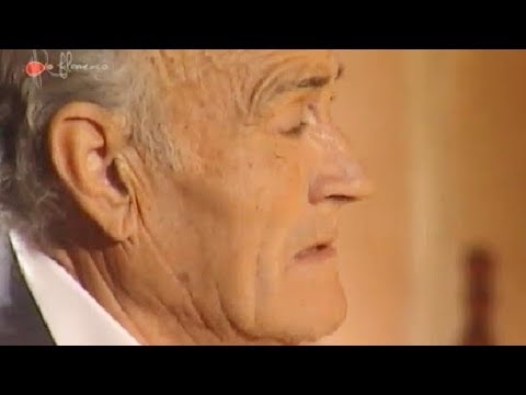 Fandangos. Pies de plomo. 1999