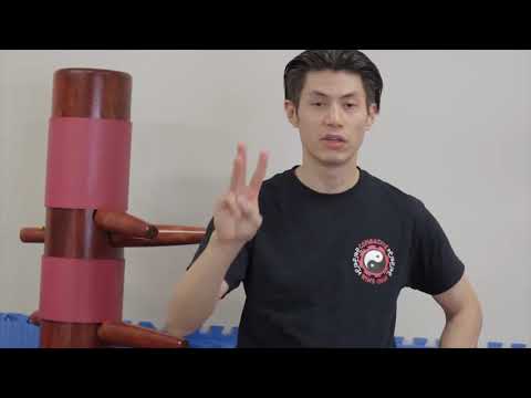 Beginner Kung Fu Workout Exercises | Punching and Moving Wing Chun | 10 Minute | Routine #1
