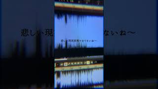 デビットビット / アボガド6 -cover. (橘_うた××)