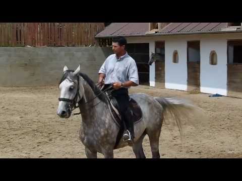 Lovasnap - 2013.06.22. (4)