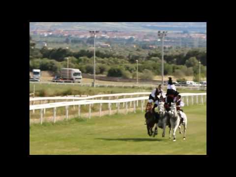 sassari la cavalcata esibizione pariglia di ollastra verticale e laterale in piedi 22.05.2016