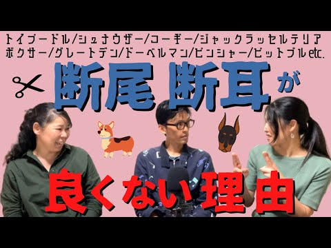 犬の尻尾や耳を切るのはなぜいけないのですか?