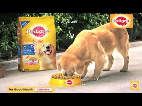 Pedigree dog food review