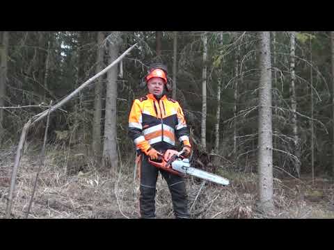 Metsolan Metsäkoulu 97, mökkisahurin riskinpaikat 6-10