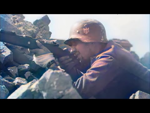 Siege of Leningrad, the most brutal blockade in history, on the Eastern Front of World War II #ww2