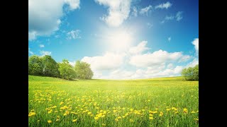 בראשית ספר האמונה | הרב דניאל זר (הרב דניאל זר) - התמונה מוצגת ישירות מתוך אתר האינטרנט יוטיוב. זכויות היוצרים בתמונה שייכות ליוצרה. קישור קרדיט למקור התוכן נמצא בתוך דף הסרטון