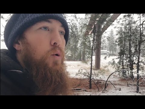 Was habe ich die ganze Zeit getrieben?