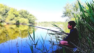 Как поймать карася летом на пруду