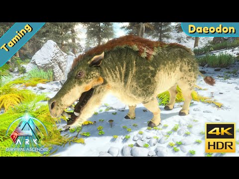 ARK Survival Ascended : Tame a Daeodon