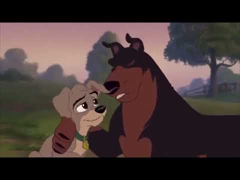 An Animal's Life part 32 - Buster to the Rescue