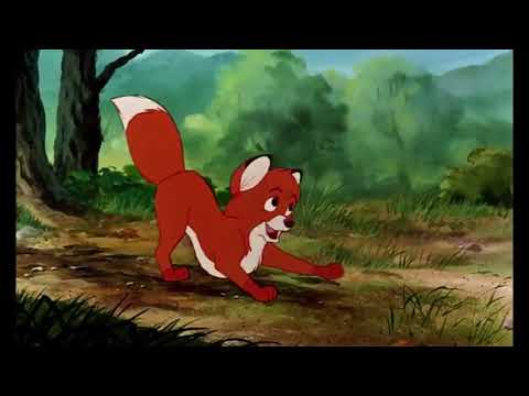 Bagheera (Bambi) Part 6 - Bagheera Makes Another New Friend