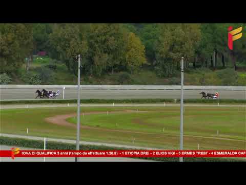 Prova di qualifica del 7 gennaio 2023 - 3 Anni - Metri 1600