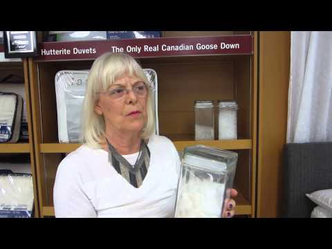 download lagu mp3 mp4 Northern Feather Canada Where To Buy, download lagu Northern Feather Canada Where To Buy gratis, unduh video klip Northern Feather Canada Where To Buy