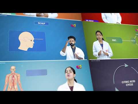 EcDentistry-Learn BDS Visually