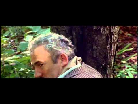 Ace Ventura When Nature Calls: Gorilla Scene