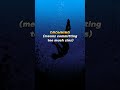 4 worst dreams to have in Islam l #youtubeshorts #reels #islam #islamicvideo