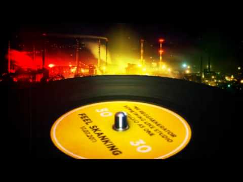 Mr. Reggaenerator & Crew - Feel Skanking (Happy Birthday) 2011