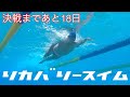 【水泳】決戦まであと18日!リカバリースイム