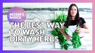 Washing and Drying Fresh Herbs - Video 1