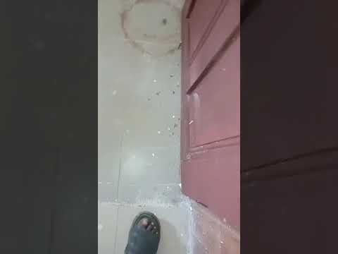 Spacious 3-Bedroom Flat for Rent at Bucknor, Lagos