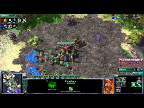 QuanticState[P] vs [Z]EGidra