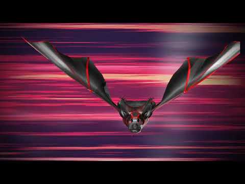 Super Bat Hero Flying Robot Transformation Games