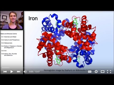 10.5 鉱物鉄 (10.5 Minerals: Iron)