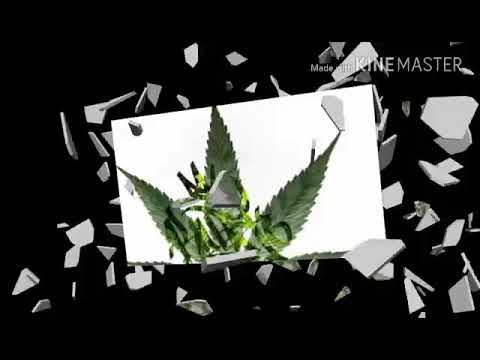Killatodesca - Legallyzed Cannabiz