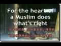 The heart of Muslim Chinese Version "from layladu ...