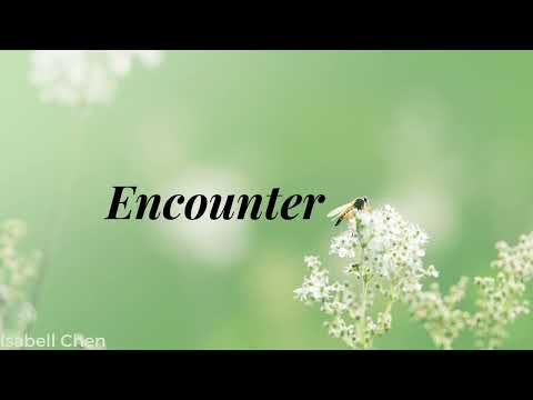 (Encounter) Yu Jian 遇见 - Stefanie Sun 孫燕姿 -  Isabell Chen | Personal Arrangement