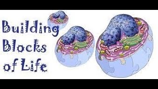 EVERYTHING You Need to Know About Cells: What ALL Living Things are Made from. MS-LS1-1