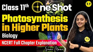 PHOTOSYNTHESIS IN HIGHER PLANTS ONE SHOT | CLASS 11 BIOLOGY NCERT EXPLANATION WITH SONAM MAAM